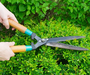 Gardening Wongarra, Gardening Services Marengo, Lawn Mowing South Western Victoria, Lawn Maintenance Lavers Hill