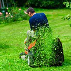 Garden Maintenance Apollo Bay, Domestic and Commercial Property Maintenance Wongarra, Lawn Mowing Lavers Hill, Lawn Maintenance Wye River